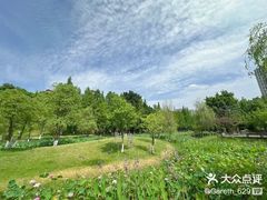 -沐仙湖湿地公园