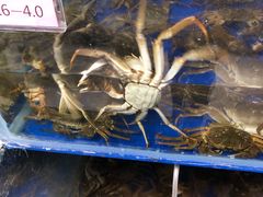 -阳澄湖大闸蟹·琼灵阁牌品牌连锁(吴中总店)