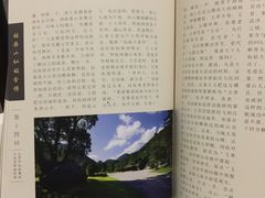 -姑婆山森林酒店