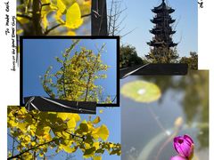 -龙华素斋(龙华路店)