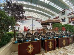 -拉萨圣地天堂洲际大饭店-自助餐厅