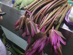 -新鸿港水果市场