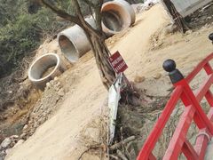 -牛鱼嘴原始生态风景区