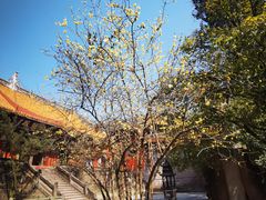-金堂县云顶石城风景区