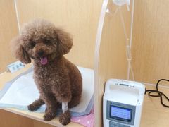 -美联众合动物医院·24h京西诊疗中心