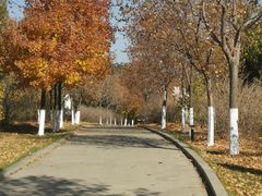 -长春世界雕塑园冰雪艺术天地