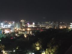 -金鸡山公园