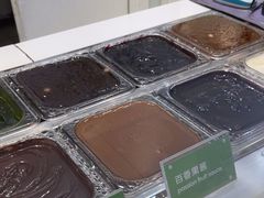 -Salud撒露欧洲冻酸奶(蓝色港湾店)