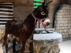 -西安电影制片厂