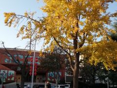 -贮水山儿童公园