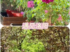 -太阳宫公园
