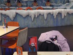 -帝企鹅自助餐厅•儿童岛•真企鹅(长隆企鹅酒店)