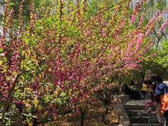 -石家庄市动物园