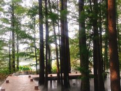 -东湖落雁景区