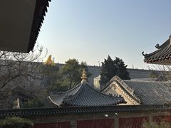 -西安市广仁寺