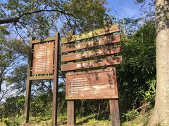 -巢湖姥山岛