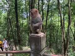 -黔灵山公园