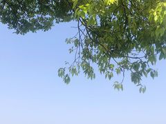 -东钱湖旅游度假区