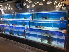 -盒马鲜生(枣园路店)
