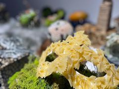 -上海油画雕塑院