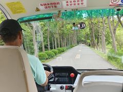 -日照海滨国家森林公园