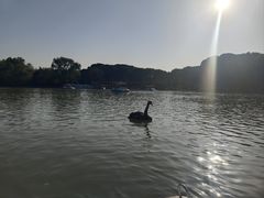 -昆山城市生态森林公园