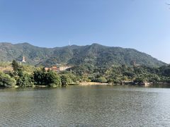 -深圳仙湖植物园
