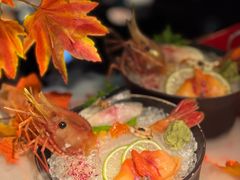 -地球美食剧场