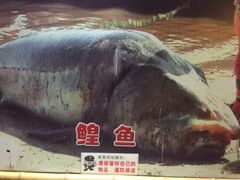 -大鹅岛灶台鱼·铁锅炖(水库路店)