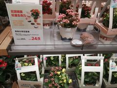 -鹿岛生活(熙地港店)