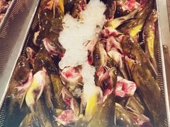 黄骨鱼-爱永尚海鲜自助火锅烤肉(恩施店)