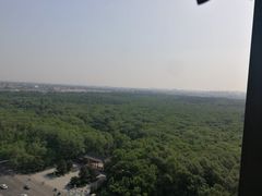-崔英子朝韩民俗风味烤肉烤串城(大东店)