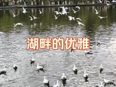 -翠湖公园