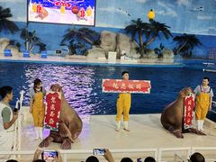 -泉城欧乐堡海洋极地世界