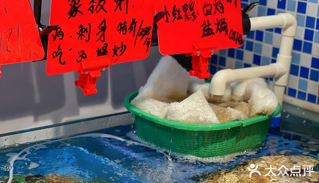 沈潮潮汕菜！一来就磕到了薄壳潮！√爆炒泊壳48