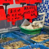 沈潮潮汕菜！一来就磕到了薄壳潮！√爆炒泊壳48