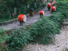 -矮寨·十八洞·德夯大峡谷景区