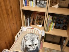 -隅cafe(傅厚岗店)