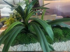 -马家斑.鲜鱼火锅(松湖万科店)