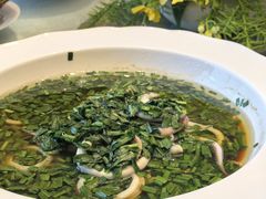 韭菜呛油东山小管-常州华美达国际大酒店·餐饮部