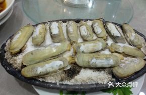 Iron Plate Stink Bug