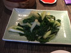 白菜苗-唐茶苑(Soho)