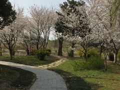 -堤角公园