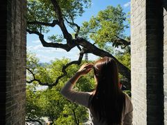 -江心屿景区