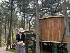 -洛阳白云山景区