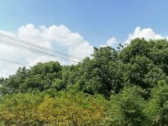 -青龙山国家森林公园