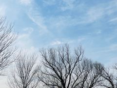 -稻香湖景欢乐岛温泉城堡