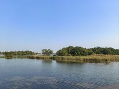 -芒洲湿地公园
