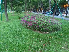 -东莞植物园