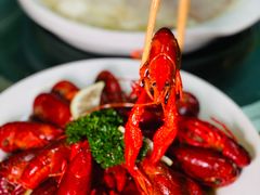 -金龙·打边炉(南京西路店)